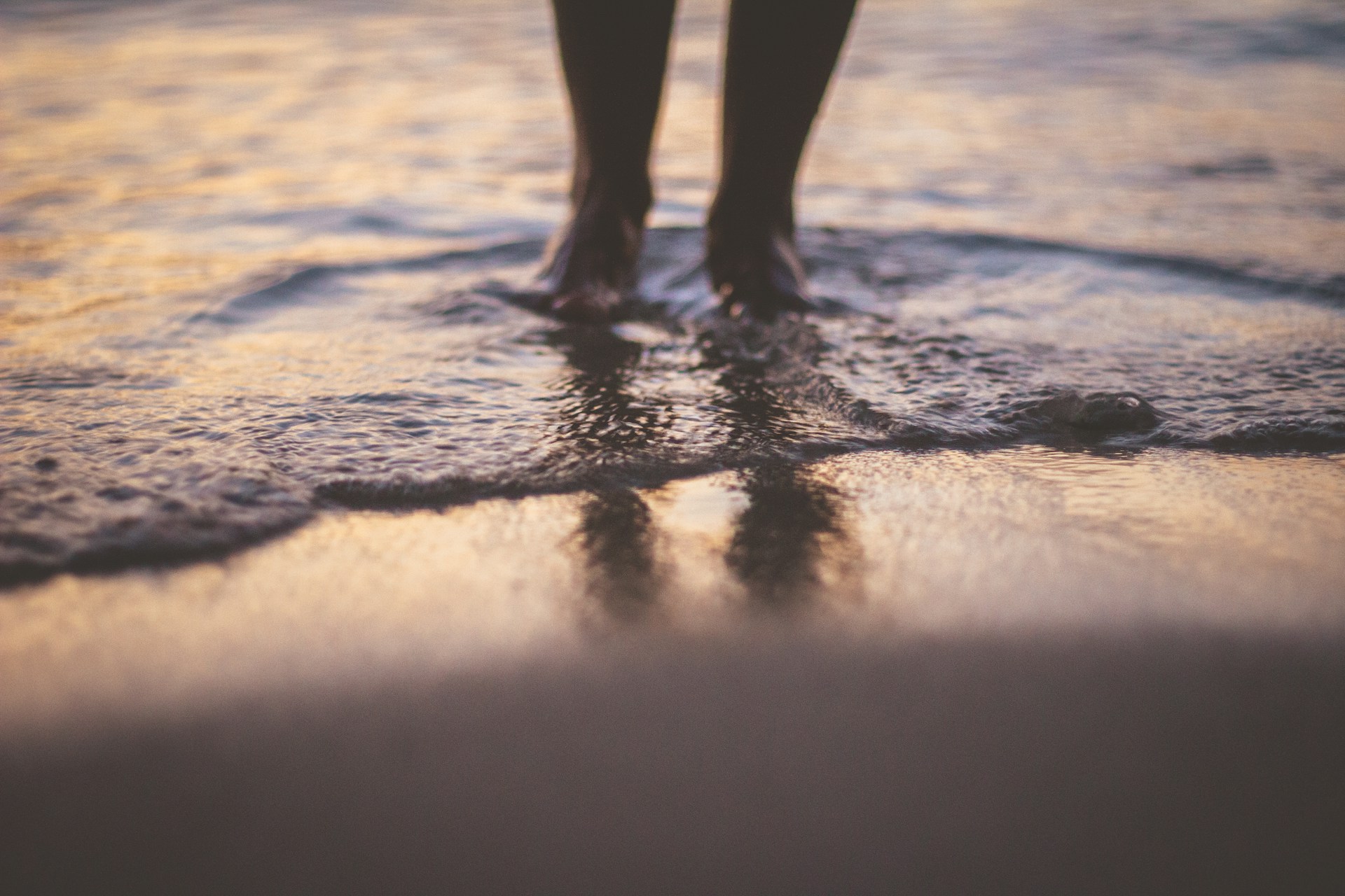 Photo by Marco Biasibetti on Unsplash